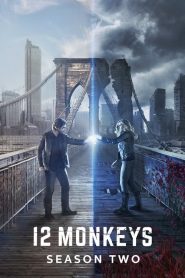 12 Monkeys